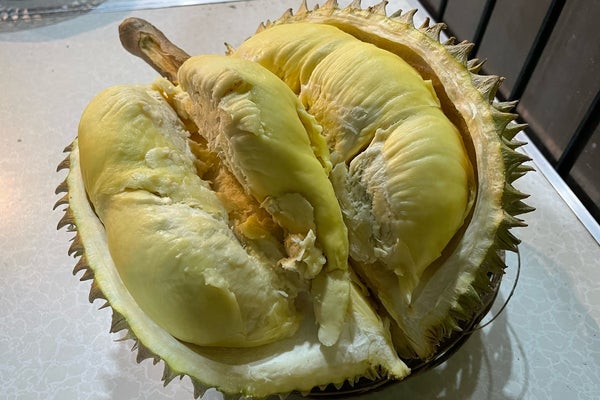 Mr Durian, Badung